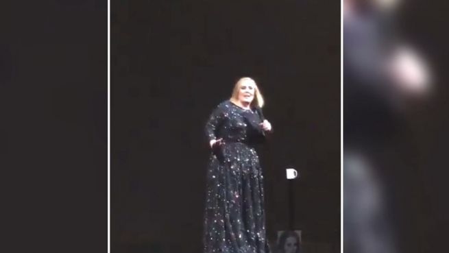 go to Bei Live-Konzert: Adele rastet wegen Fledermaus aus