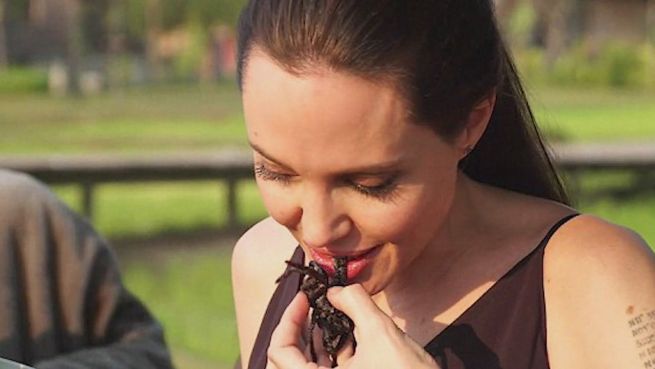 go to Eklig krabbelig: Angelina Jolie isst Insekten